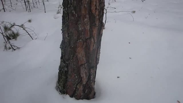 Ориентирование на местности по рельефу, часть 1