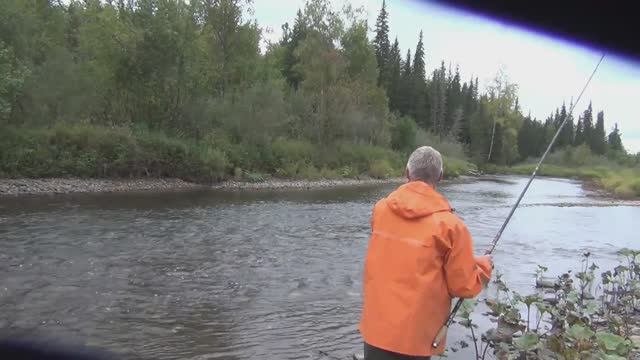 10 Серия Ловля Хариуса на Алтайская Балда Рыба Удочка Поплавок Тайга Перекат Федоровича Сухой Пит