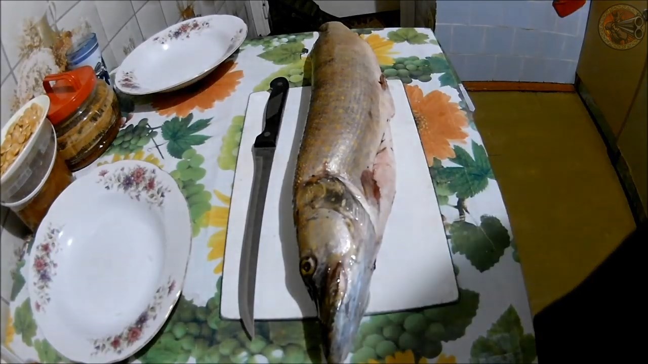 Щука без костей. Как снять филе для котлет (Будни охотника и рыбака)