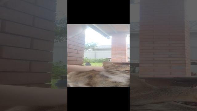 .VID_20230710_141552