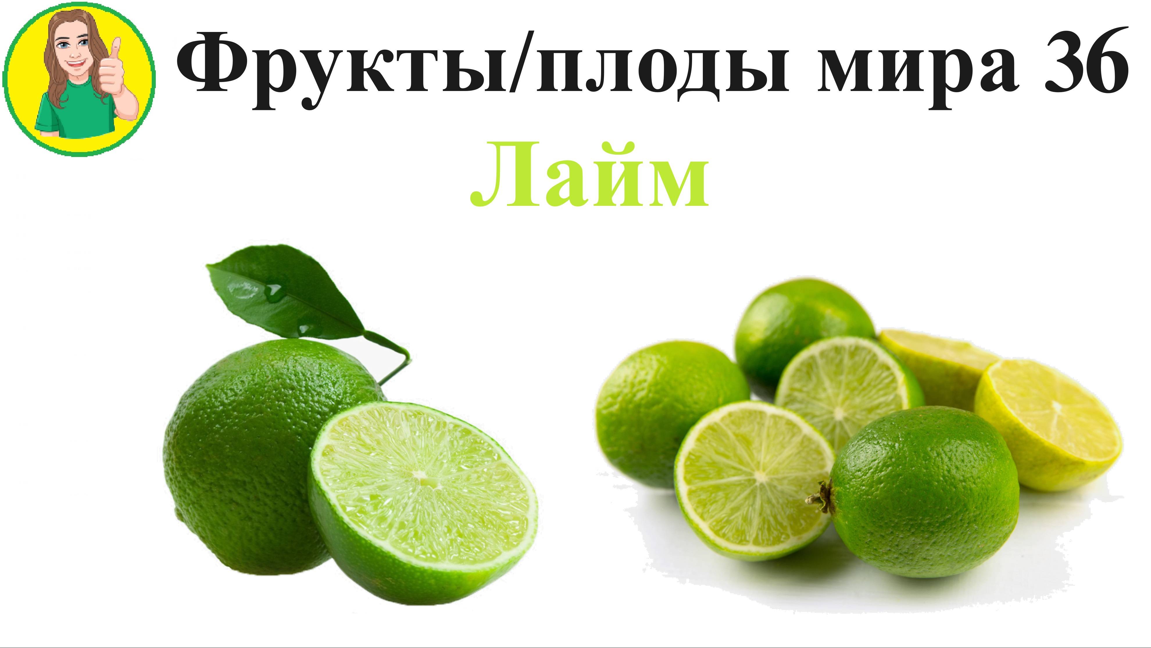 Фрукты - плоды мира 36 - Лайм Сыроедение Фрукторианство и мексиканские апельсины