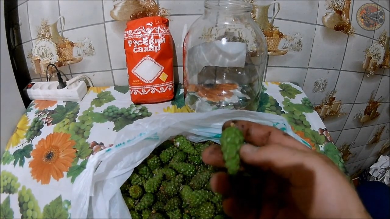 Сироп из сосновых шишек (Будни охотника и рыбака)