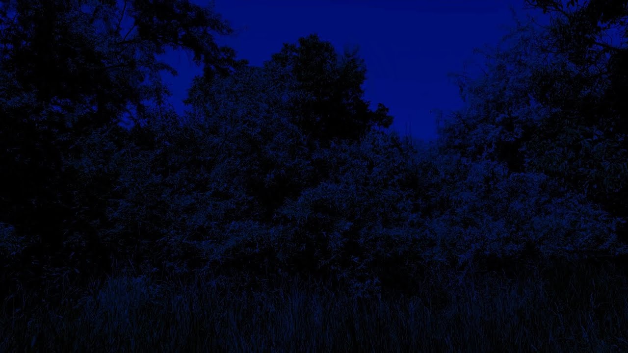 3 Часа Ночная Атмосфера со Сверчками для Крепкого Сна