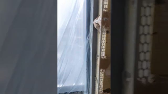 Качественная подготовка стены под механизированную штукатурку | ЖК iLove