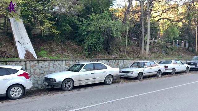 Крым. ЮБК. Ливадия. Ездили в последний день Осени. Часть 1. Запись от 30.11.23