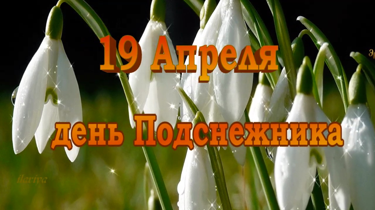 Чудесный ПОДСНЕЖНИК - глашатай ВЕСНЫ #ДеньПОДСНЕЖНИКА 19 апреля