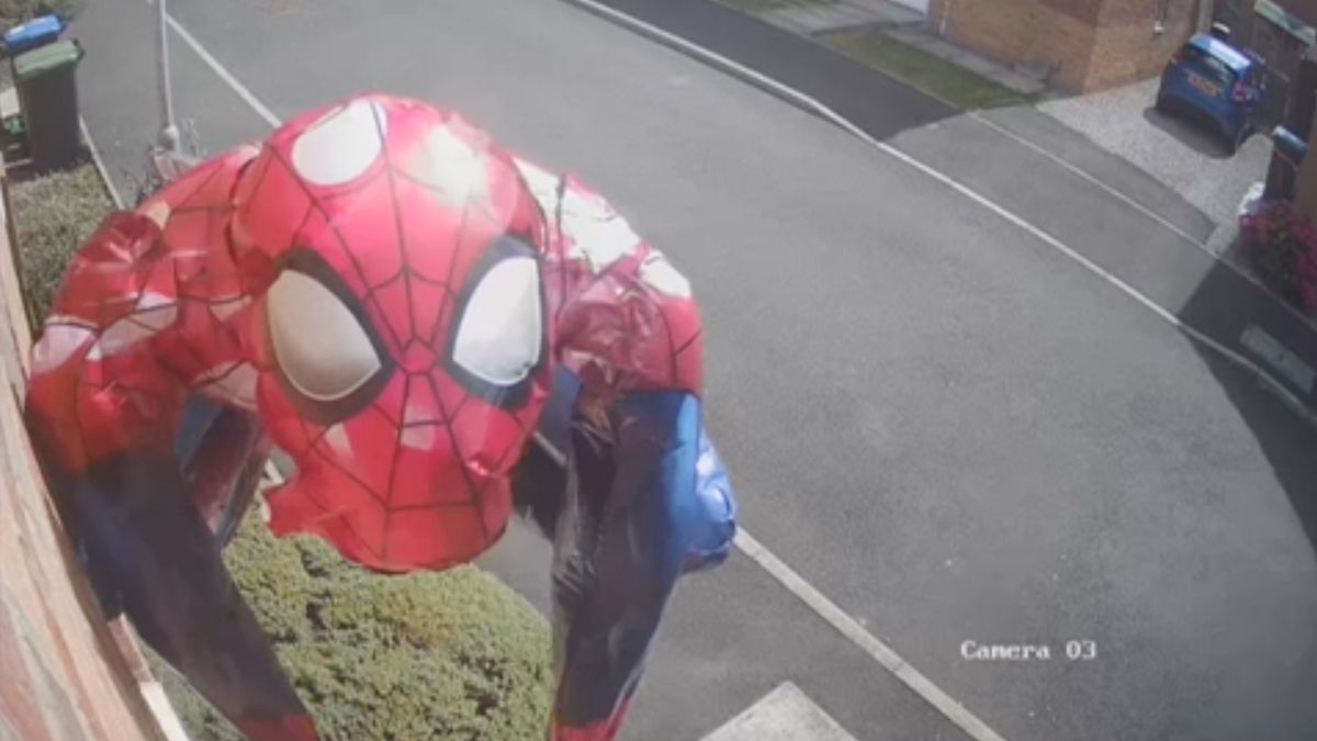 ЧЕЛОВЕК-ПАУК В РЕАЛЬНОЙ ЖИЗНИ НАСТОЯЩИЙ