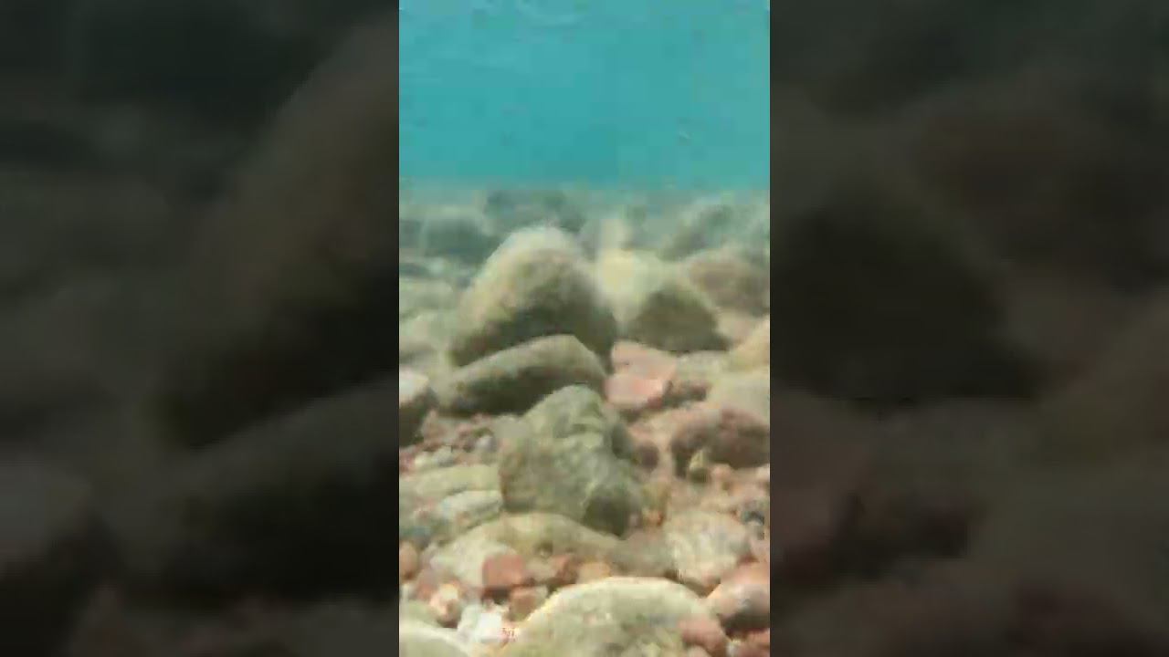 Озеро Иссык-Куль | Кыргызстан | 2022 #shorts