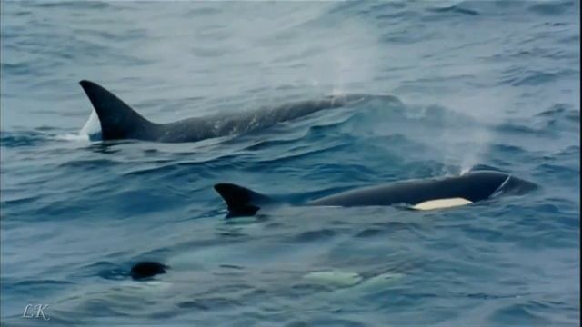 Владыки и их обители, ч. 11. Нептун и Луара