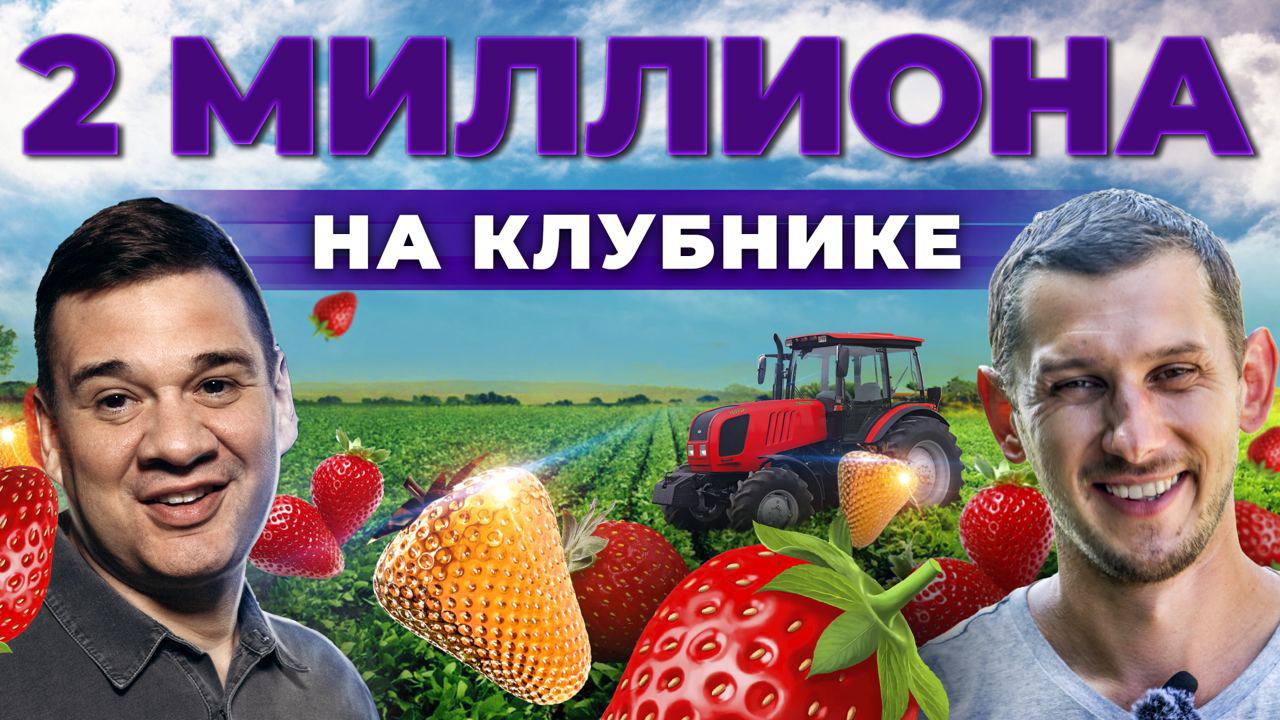 Сколько приносит ягода? Клубника, малина, смородина | Ягодный бизнес и риски | Андрей Даниленко
