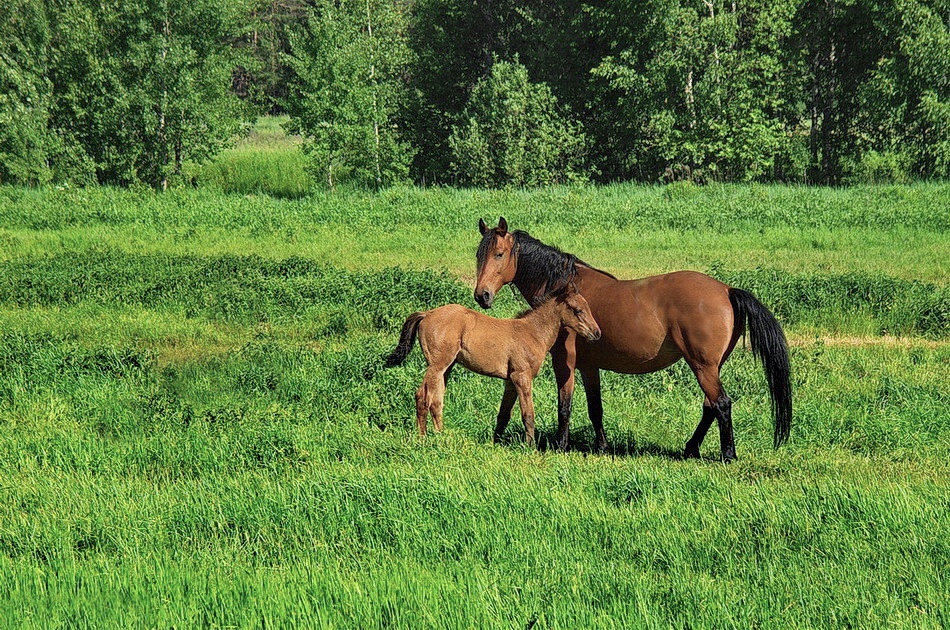 "ИЗ МАЙСКИХ ЭТЮДОВ"... (Фото Игоря БАРАНОВА (Рязань), музыка Антона БАРАНОВА (гитара))