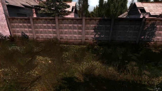 Voice escape from the STALKER mod