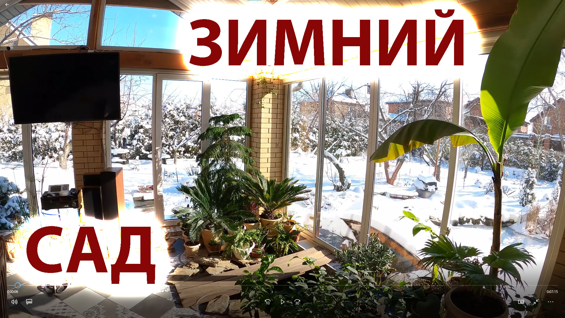 Зимний сад морозным днем февраля - оранжерея у дома