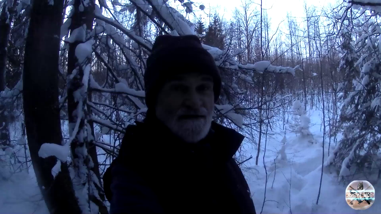 Удачная охота.Охота на куницу. Проверка капканов.