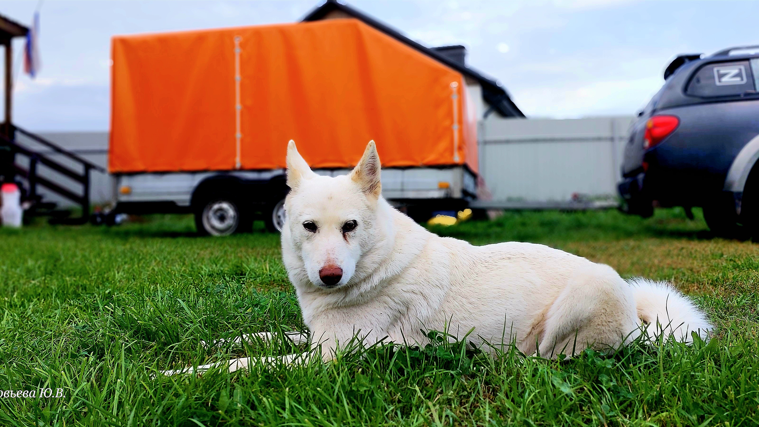 Замена тента на прицепе экспедиция