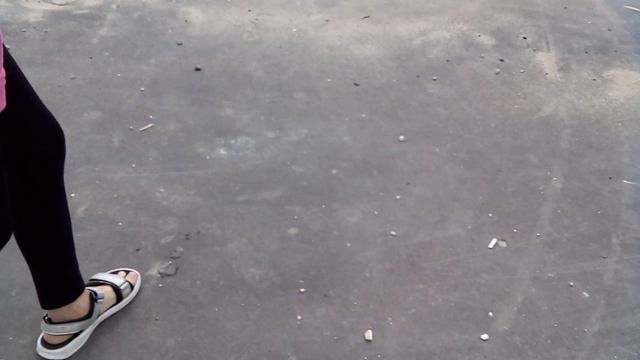 беси бегает 😱