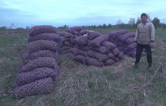 2022 Май. Как я стал картофельным магнатом. И что дальше?