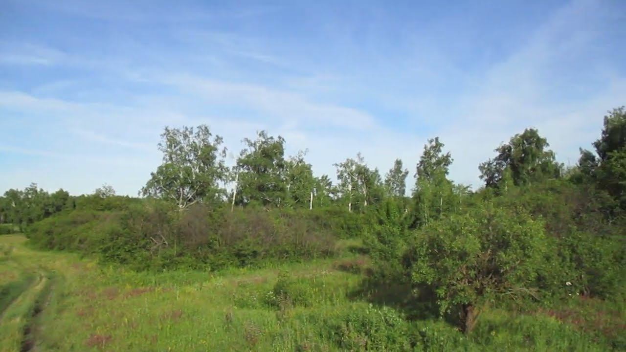 Опустевший хутор Новая Жизнь, Петровский район.