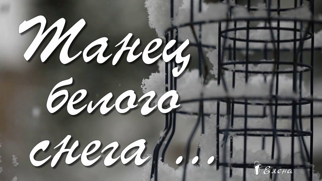 Танец белого снега*