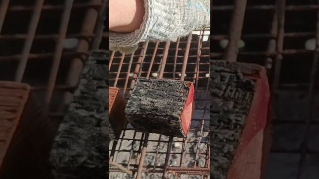 Короткий #тест ОгнеБиоЗащита - горит дерево или нет? Если обработать #ЩИТ #shorts