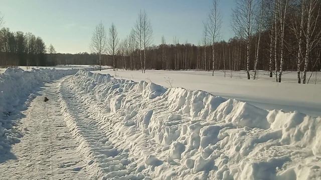 Это называется весенняя прогулка