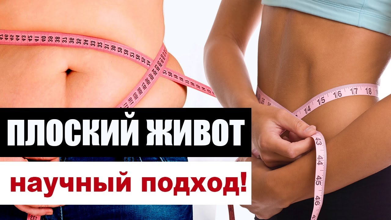 Как убрать живот, сбросить вес и обойти ловушки жира? Плоский живот - научный подход