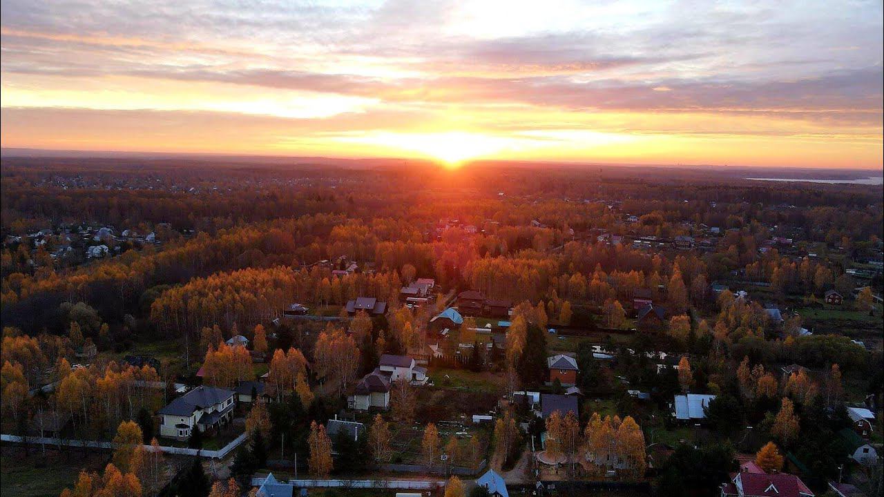 Рассвет в деревне с лайками