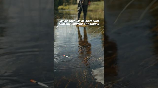 Рыболовная снасть 🎣 🇯🇵