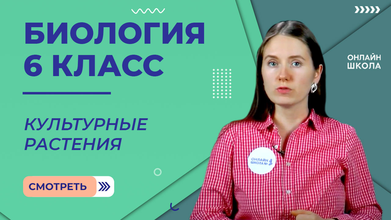 Культурные растения. Видеоурок 32. Биология 6 класс