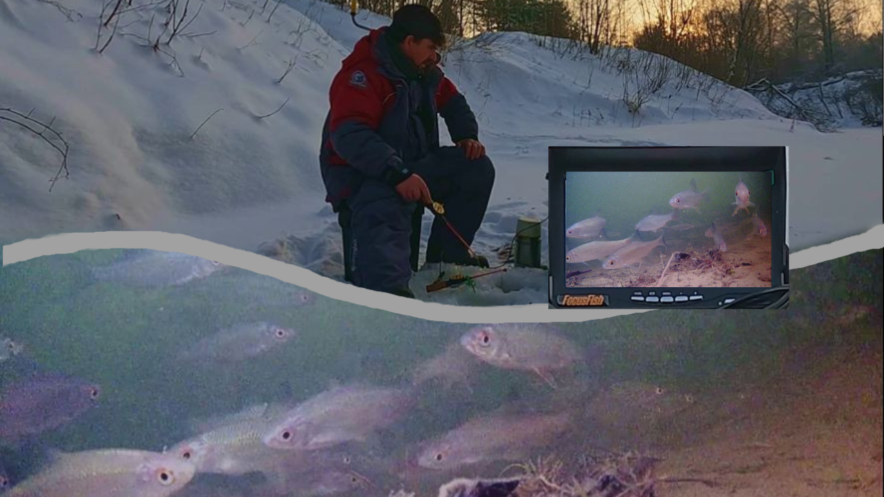 РЫБАЛКА, ЗАГЛЯДЫВАЯ В РОТ РЫБЕ ! ( Сузун ) 25 декабря 2023г.