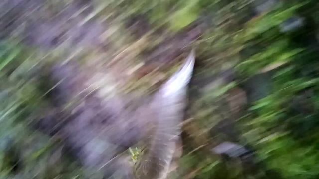 Проверка закидушек 21.09.23г.