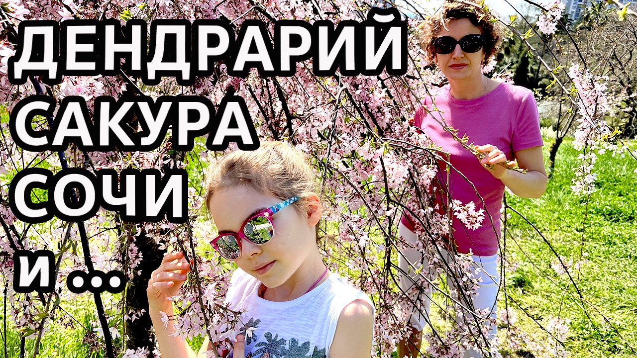Дендрарий в Сочи