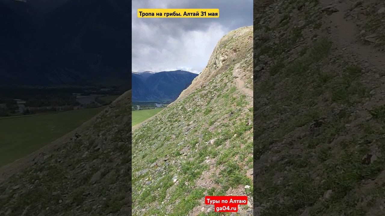 Тропа на каменные грибы. 31 мая