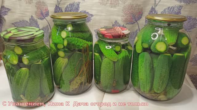 Пожалуй это самые Вкусные ХРУСТЯЩИЕ МАРИНОВАННЫЕ ОГУРЦЫ! Раскрываю свой секрет удачной заготовки огу