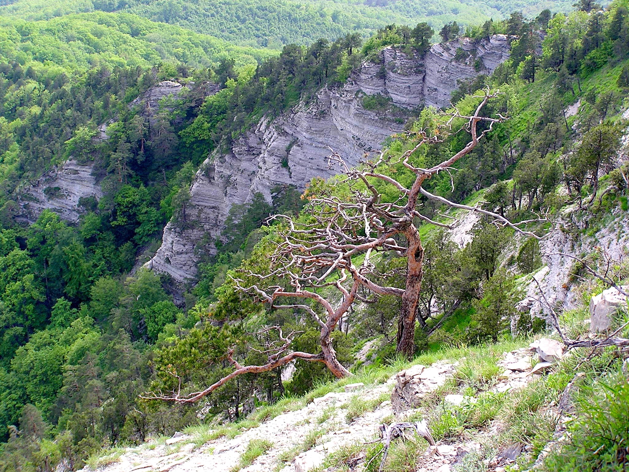 ВЕСНА НА ГОРЕ ПАПАЙ