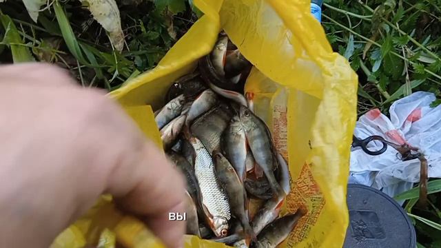 Рыбалка в Сибири. Кое как пробрался до место, а в итоге не зря. Наловил порядком окуней