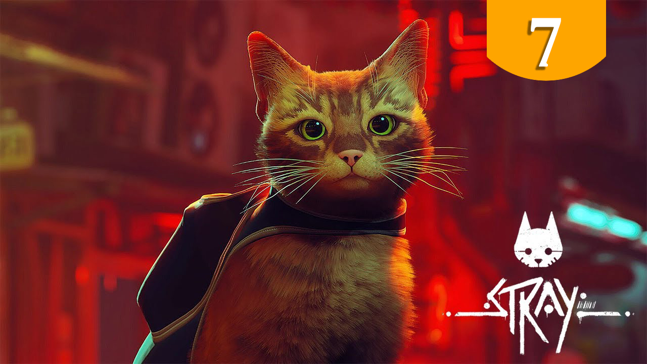 Клементина ➤ Stray ➤ Прохождение #7