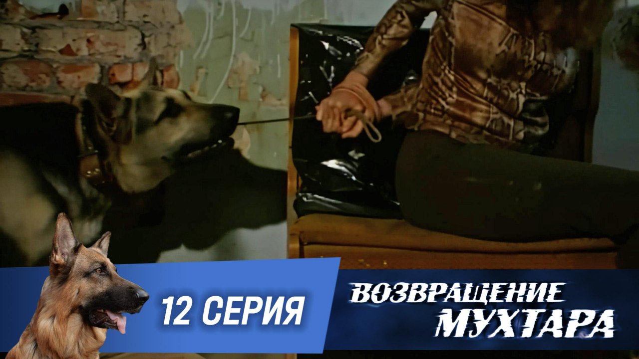«Возвращение Мухтара»: «Запах женщины» (1 сезон. 12 серия)