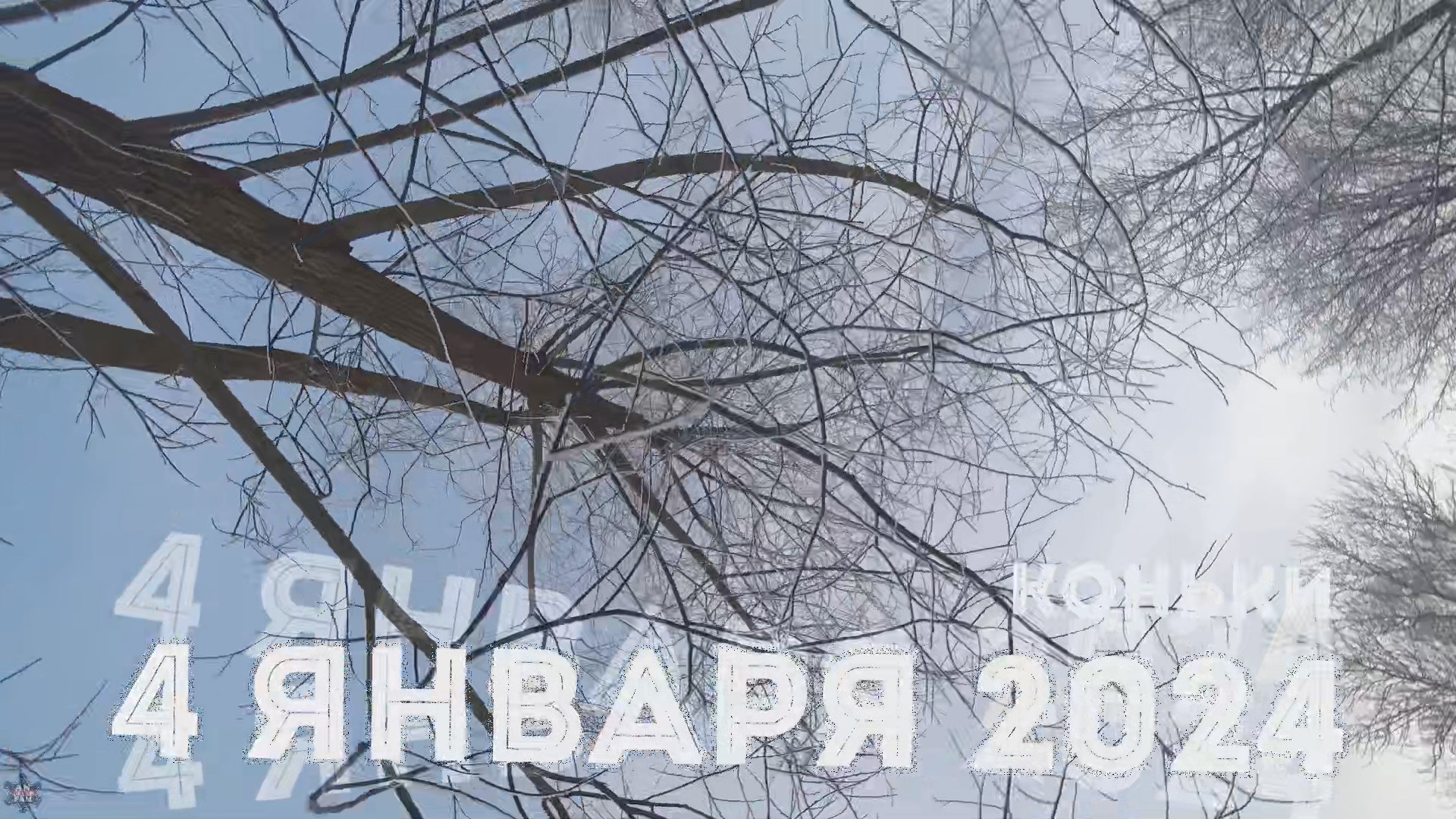 ANUF_LIFE_Коньки_4.01.2024