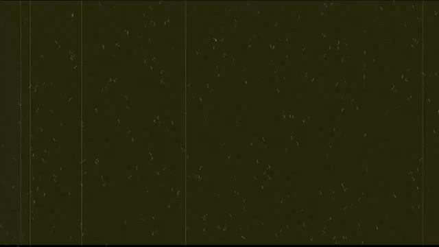 Бытовуха, сэр!