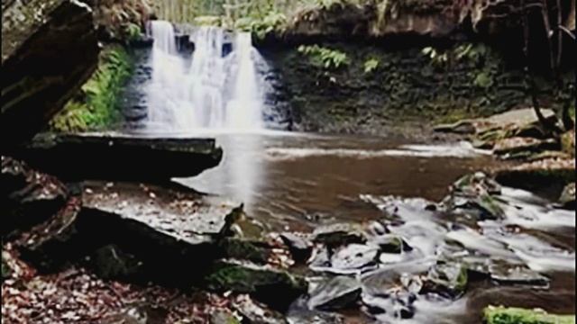 Лесной водопад для расслабления и сна. Пение Птиц. Релакс