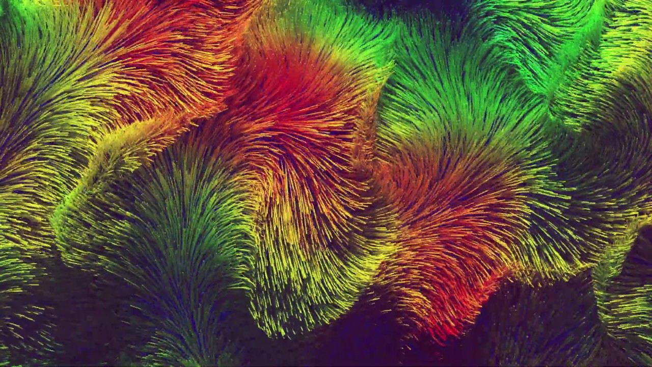 Арт-проект «Трансформация»