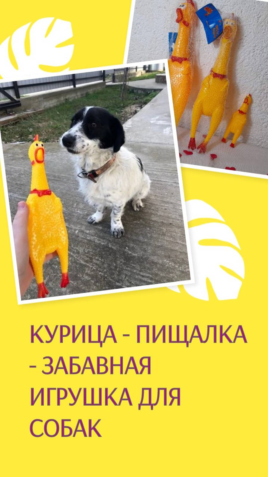 Курица - пищалка - забавная игрушка для собак