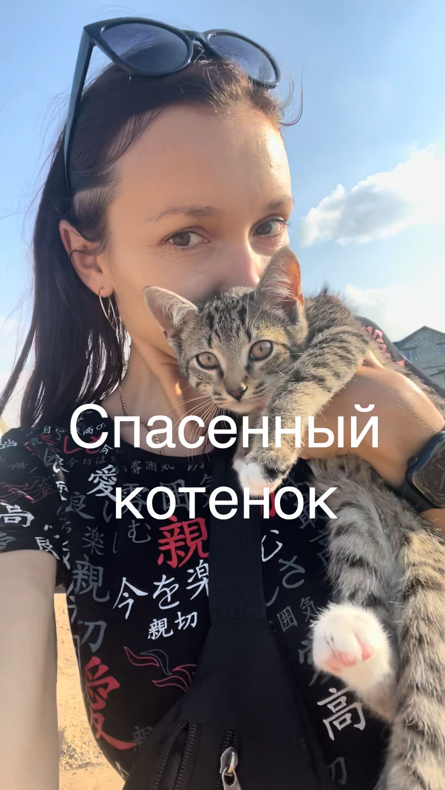 Спасенный котенок говорит: Мама. Решила разбавить тему стройки.