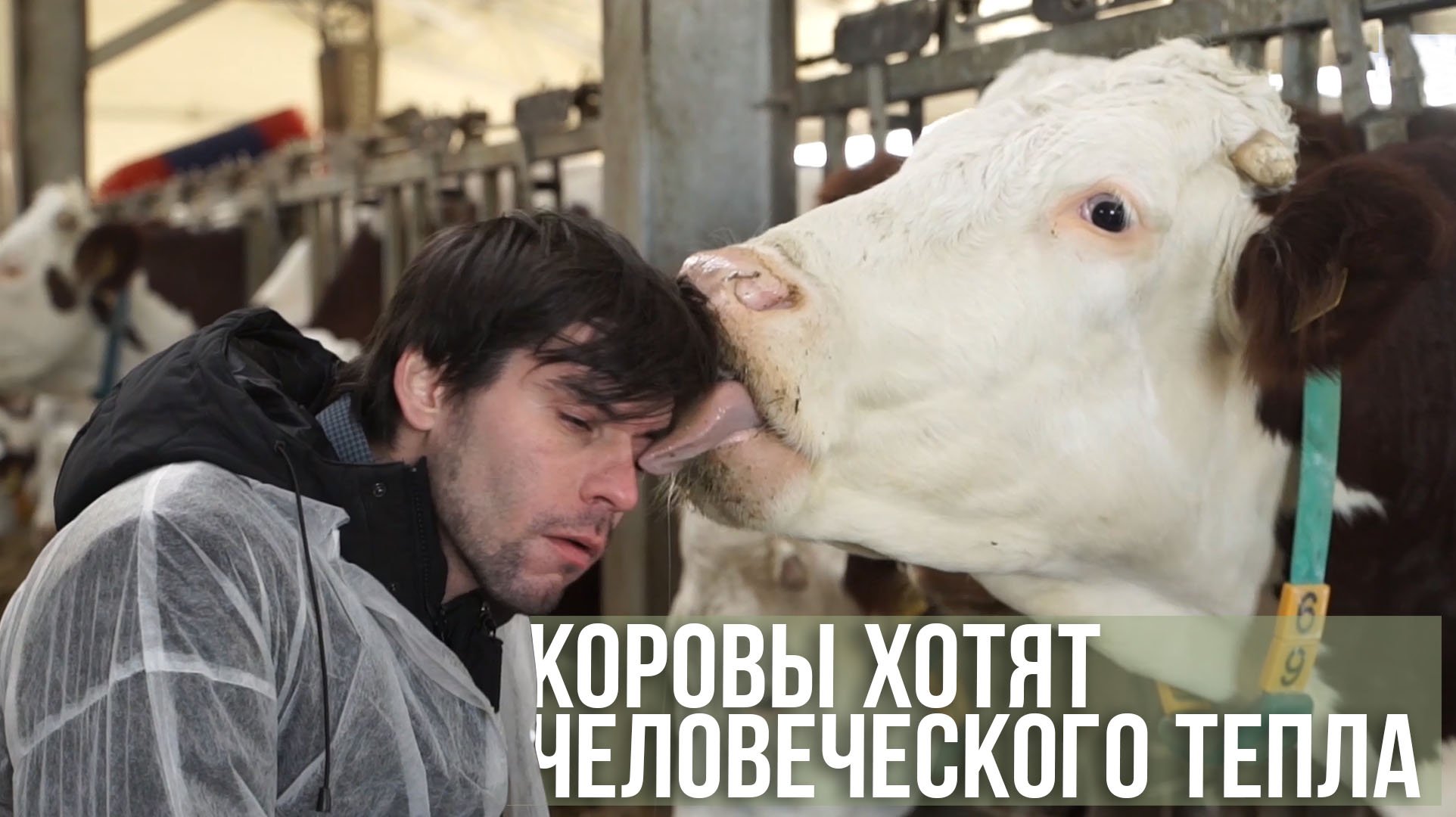 сп АГРОНОРМ №17 Сыр коровы птица 11 12 22  ДОК