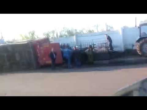 2019.05.20 Новокузнецк. Поросята на обочине. Фура на боку.