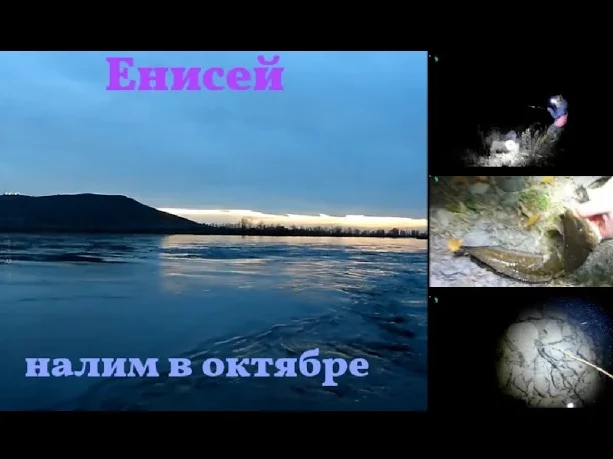 Налим в октябре..mp4