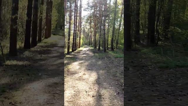 Перынский скит.Великий Новгород