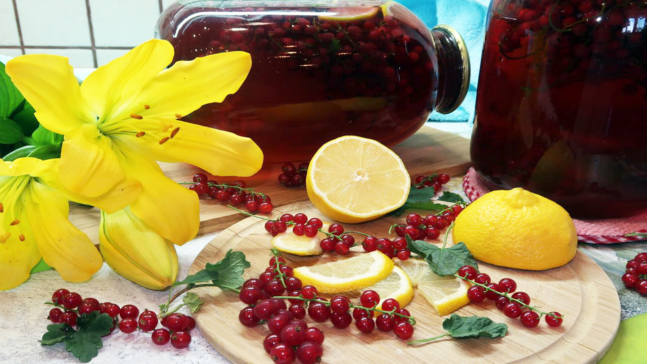 Мохито из красной смородины лимона и мяты на зиму. Компот из красной смородины рецепт