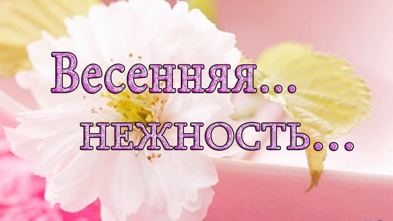 Весенняя  нежность*